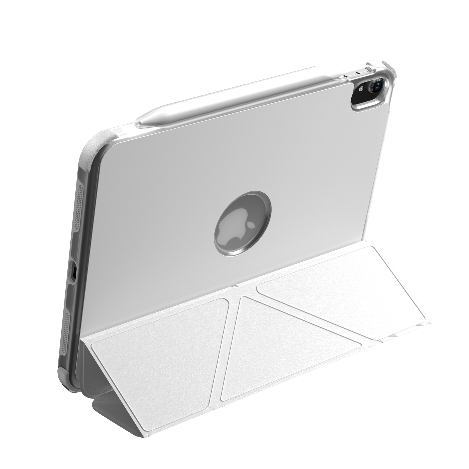 iPad Cases